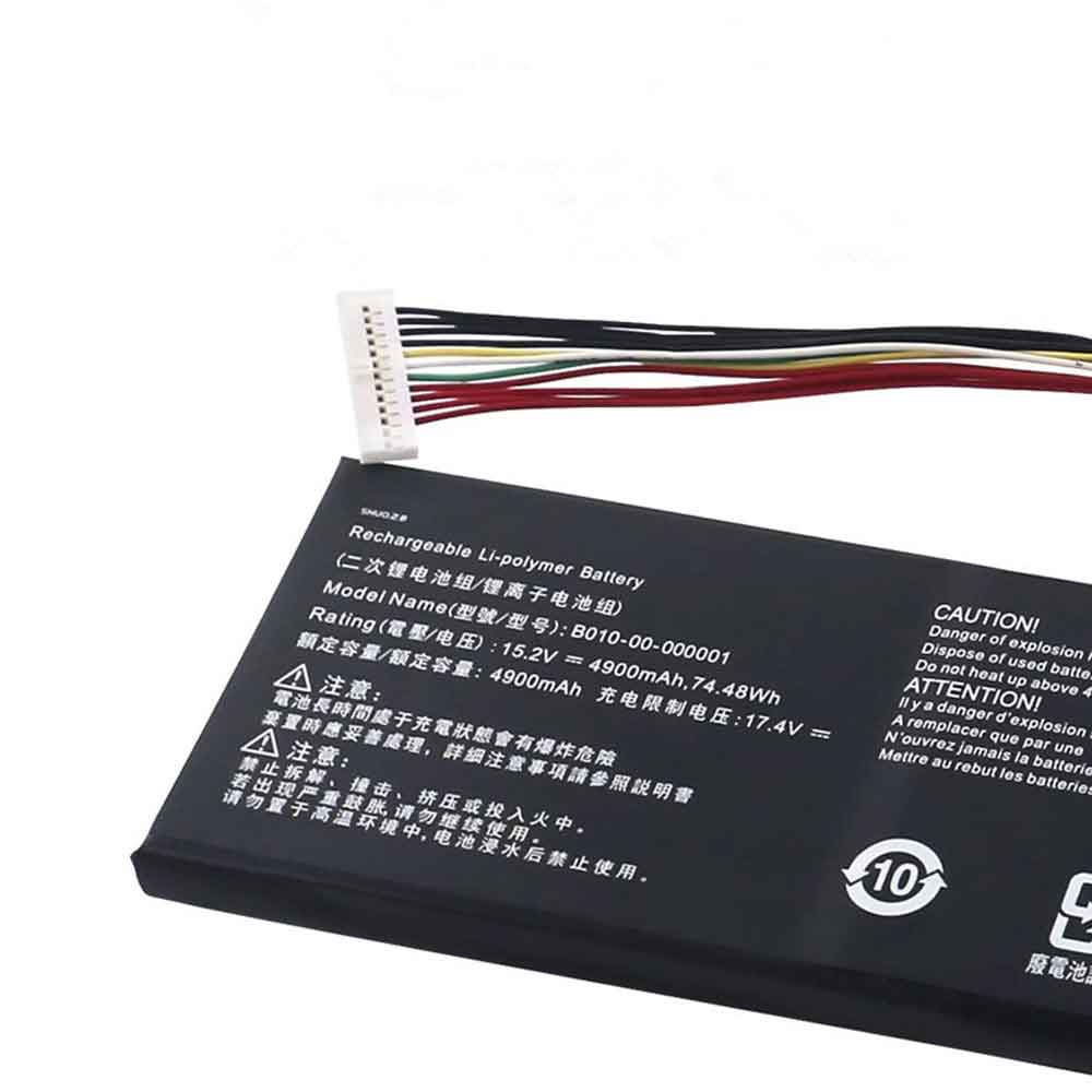 Batterie pour Getac EVGA SC17 1070 B010-00-000001, 4900mAh 